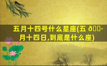 五月十四号什么星座(五 🕷 月十四日,到底是什么座)